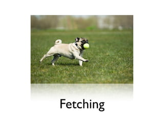 Fetching
 