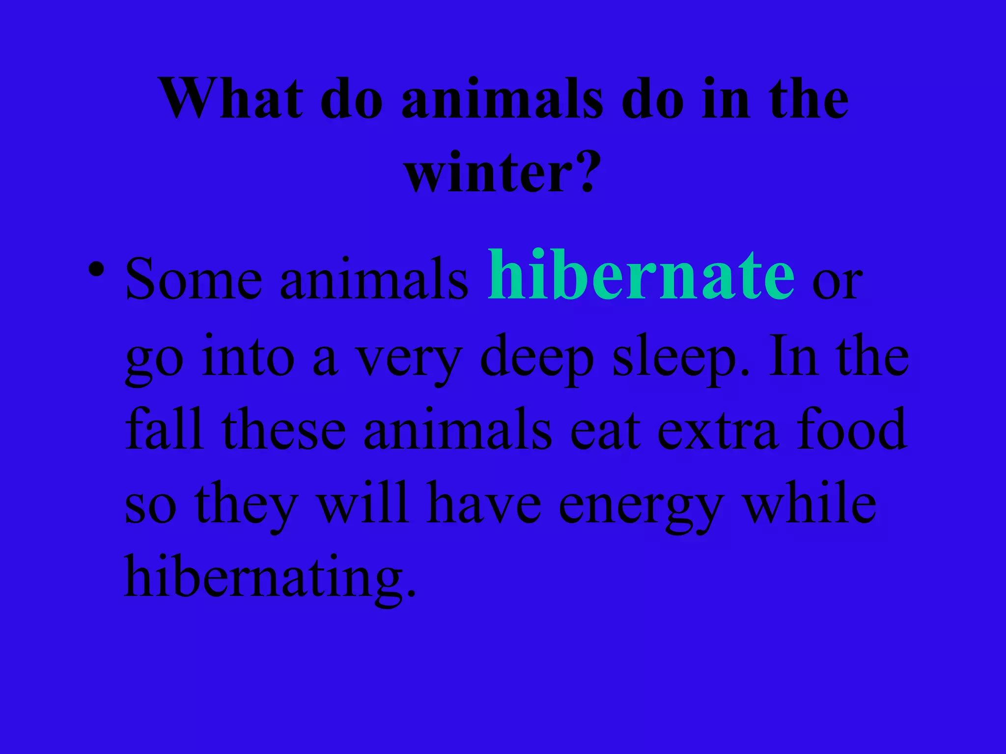 What do animals do in the winter? Some animals  hibernate  or go into a very deep sleep. In the fall these animals eat extra food so they will have energy while hibernating.  