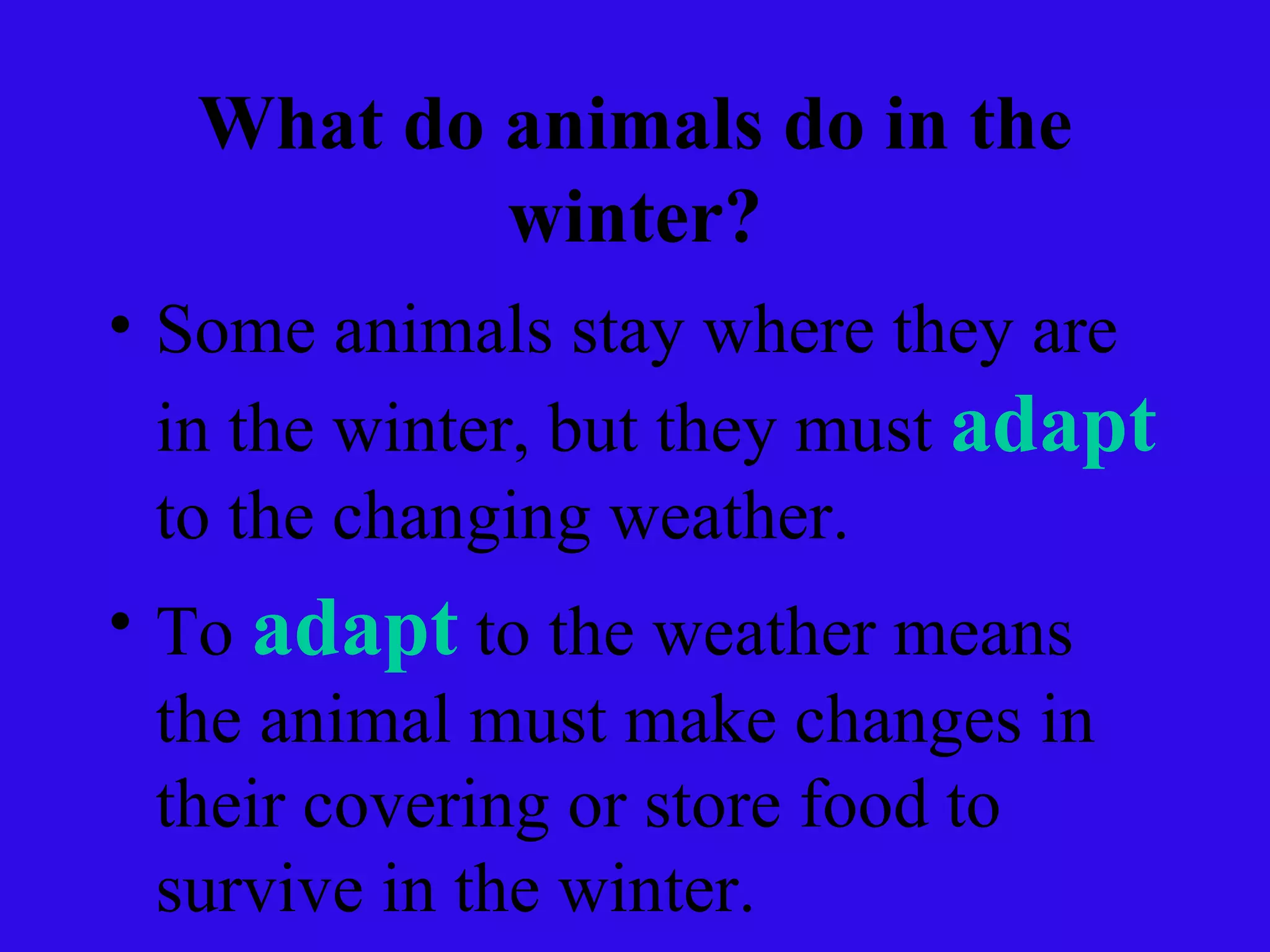 What do animals do in the winter? Some animals stay where they are in the winter, but they must  adapt  to the changing weather.  To  adapt  to the weather means the animal must make changes in their covering or store food to survive in the winter. 