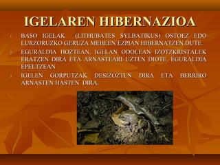 IGELAREN HIBERNAZIOAIGELAREN HIBERNAZIOA
1.1. BASO IGELAK (LITHUBATES SYLBATIKUS) OSTOEZ EDOBASO IGELAK (LITHUBATES SYLBATIKUS) OSTOEZ EDO
LURZORUZKO GERUZA MEHEEN EZPIAN HIBERNATZEN DUTE.LURZORUZKO GERUZA MEHEEN EZPIAN HIBERNATZEN DUTE.
2.2. EGURALDIA HOZTEAN, IGELAN ODOLEAN IZOTZKRISTALEKEGURALDIA HOZTEAN, IGELAN ODOLEAN IZOTZKRISTALEK
ERATZEN DIRA ETA ARNASTEARI UZTEN DIOTE. EGURALDIAERATZEN DIRA ETA ARNASTEARI UZTEN DIOTE. EGURALDIA
EPELTZEANEPELTZEAN
3.3. IGELEN GORPUTZAK DESIZOZTEN DIRA ETA BERRIROIGELEN GORPUTZAK DESIZOZTEN DIRA ETA BERRIRO
ARNASTEN HASTEN DIRA.ARNASTEN HASTEN DIRA.
 