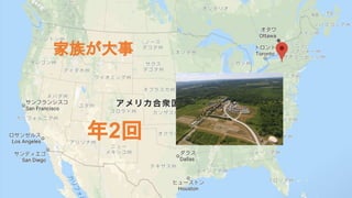 年2回
家族が大事
 