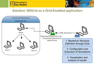 Solution: BSGrid as a Grid-Enabled application

          Cluster/Grid Infrastructure
              Independent Jobs




                    Master                                                   XML Document
                                                  Submitting BSGrid Jobs to the
                                                    Cluster/Grid Infraestructure
                                                           Batch Process           1. Bacterium Structure
                                                                                   Definition through GUIs

Slave 1                                                                              2. Configuration and
                                        Slave N
                     …..                                                           Execution of Simulations

                                                                                     3. Visualization and
                                                                                      analysis of results
 