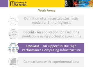 Work Areas

 Definition of a mesoscale stochastic
      model for B. thuringiensis

 BSGrid - An application for executing
simulations using stochastic algorithms

   UnaGrid – An Opportunistic High
Performance Computing Infrastructure


 Comparisons with experimental data
 