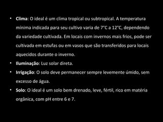 • Clima: O ideal é um clima tropical ou subtropical. A temperatura
mínima indicada para seu cultivo varia de 7°C a 12°C, dependendo
da variedade cultivada. Em locais com invernos mais frios, pode ser
cultivada em estufas ou em vasos que são transferidos para locais
aquecidos durante o inverno.
• Iluminação: Luz solar direta.
• Irrigação: O solo deve permanecer sempre levemente úmido, sem
excesso de água.
• Solo: O ideal é um solo bem drenado, leve, fértil, rico em matéria
orgânica, com pH entre 6 e 7.
 