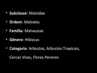 • Subclasse: Malvidae
• Ordem: Malvales
• Família: Malvaceae
• Gênero: Hibiscus
• Categoria: Arbustos, Arbustos Tropicais,
Cercas Vivas, Flores Perenes
 