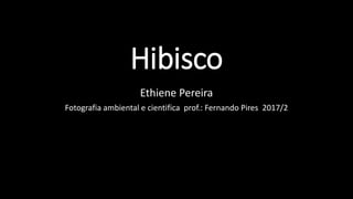 Hibisco
Ethiene Pereira
Fotografia ambiental e cientifica prof.: Fernando Pires 2017/2
 