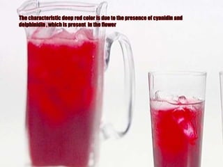 The characteristic deep red color is due to the presence of cyanidin and delphinidin , which is present  in the flower