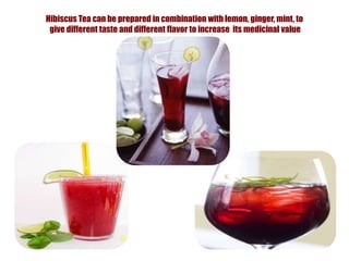 Hibiscus Tea can be prepared in combination with lemon, ginger, mint, to give different taste and different flavor to increase  its medicinal value
