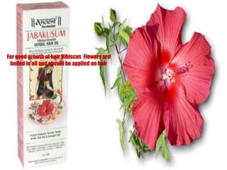 For good growth of hair Hibiscus  Flowers are boiled in oil and should be applied on hair