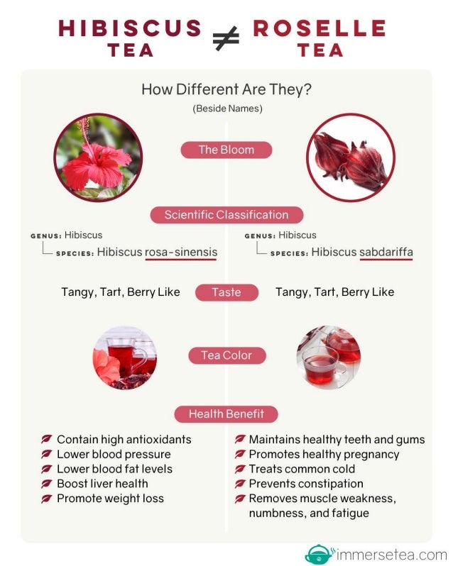 Hibiscus Tea VS Roselle Tea (infographic)