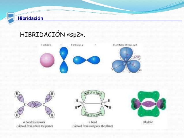 Hibridacion Del tomo De Carbono