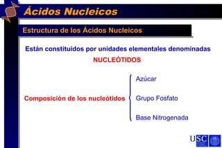 Ácidos Nucleicos
Estructura de los Ácidos Nucleicos
Están constituidos por unidades elementales denominadas
NUCLEÓTIDOS
Composición de los nucleótidos
Azúcar
Grupo Fosfato
Base Nitrogenada
 