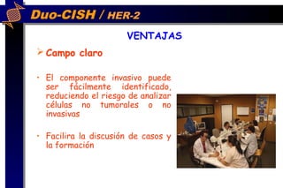 Duo-CISH / HER-2
 Campo claro
• El componente invasivo puede
ser fácilmente identificado,
reduciendo el riesgo de analizar
células no tumorales o no
invasivas
• Facilira la discusión de casos y
la formación
VENTAJAS
 