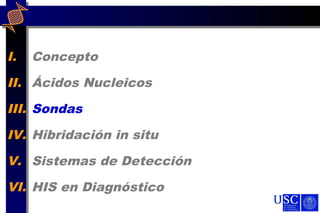 I. Concepto
II. Ácidos Nucleicos
III. Sondas
IV. Hibridación in situ
V. Sistemas de Detección
VI. HIS en Diagnóstico
 