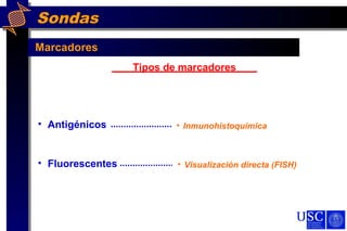 Sondas
Marcadores
Tipos de marcadores
• Antigénicos
• Fluorescentes
• Inmunohistoquímica
• Visualización directa (FISH)
 