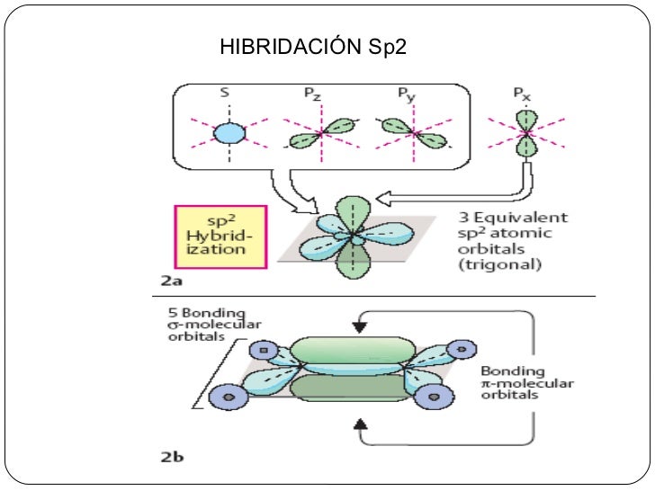 Hibridaci n Del Atomo De Carbono