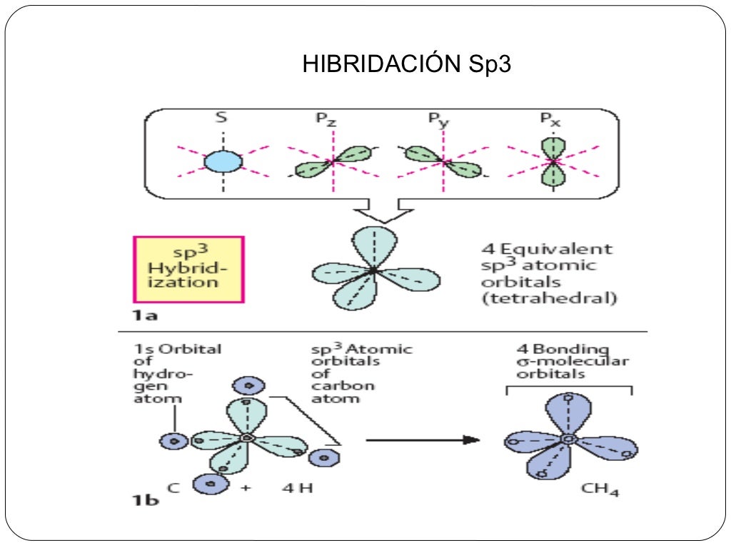 Hibridación del atomo de carbono