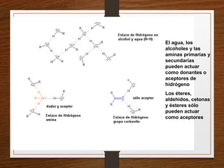 El agua, los
alcoholes y las
aminas primarias y
secundarias
pueden actuar
como donantes o
aceptores de
hidrógeno
Los éteres,
aldehidos, cetonas
y ésteres sólo
pueden actuar
como aceptores
 