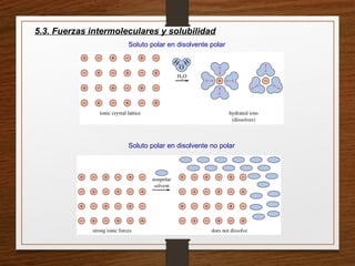 5.3. Fuerzas intermoleculares y solubilidad
Soluto polar en disolvente polar
Soluto polar en disolvente no polar
 