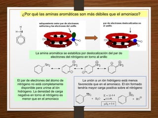 ¿Por qué las aminas aromáticas son más débiles que el amoniaco?
El par de electrones del átomo de
nitrógeno no está completamente
disponible para unirse al ión
hidrógeno. La densidad de carga
negativa en torno al nitrógeno es
menor que en el amoniaco
La amina aromática se estabiliza por deslocalización del par de
electrones del nitrógeno en torno al anillo
La unión a un ión hidrógeno está menos
favorecida que en el amoniaco. El ión formado
tendría mayor carga positiva sobre el nitrógeno
 