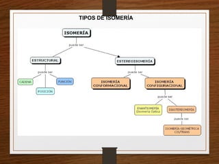 TIPOS DE ISOMERÍA
 