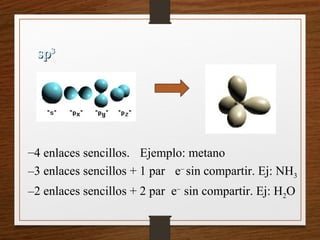 sp
sp3
3
–4 enlaces sencillos. Ejemplo: metano
–3 enlaces sencillos + 1 par e–
sin compartir. Ej: NH3
–2 enlaces sencillos + 2 par e–
sin compartir. Ej: H2O
 