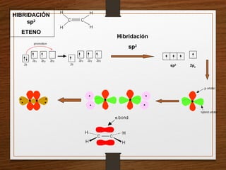 HIBRIDACIÓN
sp2
ETENO
Hibridación
sp2
sp2
2pz
 