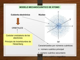 Núcleo
Cubierta electrónica
MODELO MECANOCUÁNTICO DE ÁTOMO
ORBITALES
Carácter ondulatorio de los
electrones
Principio de Incertidumbre de
Heisenberg
Caracterizados por números cuánticos:
n : número cuántico principal
l : número cuántico secundario
m: número cuántico magnético
 