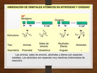 HIBRIDACIÓN DE ORBITALES ATÓMICOS EN NITRÓGENO Y OXÍGENO
sp3
Nitrógeno
Oxígeno
Estructura
Tipo Aminas
Sales de
amonio
Alcoholes
Éteres
Alcóxidos
Geometría Piramidal Tetraédrica Angular -
Las aminas, sales de amonio, alcoholes y éteres son especies
estables. Los alcóxidos son especies muy reactivas (intermedios de
reacción).
 