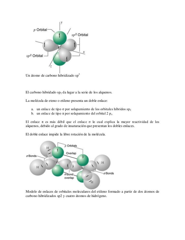 Hibridacion Del carbono