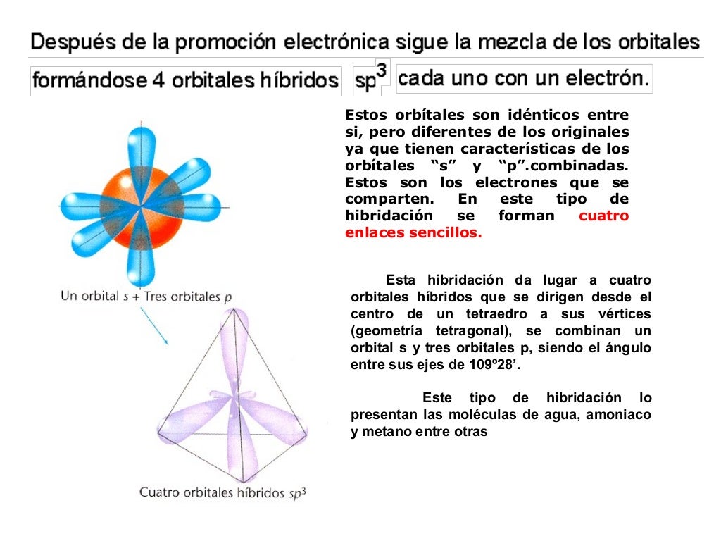Hibridacion Presentacion