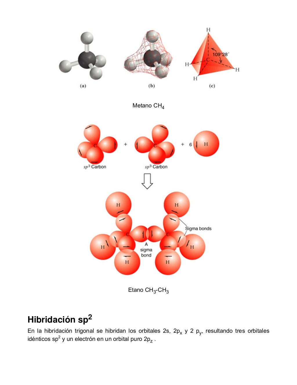Hibridacion Carbono