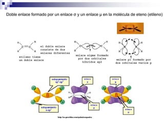 Doble enlace formado por un enlace σ y un enlace μ en la molécula de eteno (etileno)
 