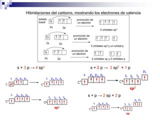 2s 2p
estado
basal
promoción de
un electrón
4 orbitales sp3
2s 2p
promoción de
un electrón
3 orbitales sp2 y un orbital p
2s 2p
promoción de
un electrón
2 orbitales sp y 2 orbitales p
Hibridaciones del carbono, mostrando los electrones de valencia
s + 3 p → 4 sp3 s + 2 p → 3 sp2
+ 1 p
s + p → 2 sp + 2 p
 