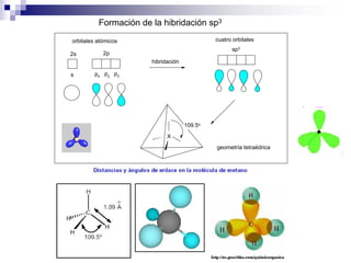Formación de la hibridación sp3
s px py pz
orbitales atómicos
2s 2p
hibridación
sp3
geometría tetraédrica
X
109.5o
cuatro orbitales
 
