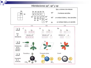 Hibridaciones sp3, sp2 y sp
B NCBe O
Cl
Br
I
3A 4A 5A 6A 7A2A
sp
sp2 sp3
sp2
sp
sp3sp3
sp2
sp
tipo y número de enlaces
sp3
sp2
sp
4 enlaces sencillos
un enlace doble y dos sencillos
un enlace triple y un sencillo
sp2
sp3
sp3
sp3
 