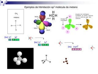 Ejemplos de hibridación sp3 molécula de metano
CH4
C
H
H
H
H
metano
 