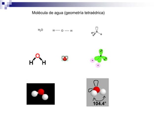 Molécula de agua (geometría tetraédrica)
H O HH2O
 