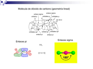 Molécula de dióxido de carbono (geometría lineal)
C
orbital sp
orbitales p
O
orbital p orbitales p
orbitales sp2 orbitales sp2
O
enlace sigma
enlace sigma
enlace pi enlace pi
par de e-
CO2
Enlaces pi
Enlaces sigma
 