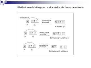 Hibridaciones del nitrógeno, mostrando los electrones de valencia
2s 2p
estado basal
promoción de
un orbital
4 orbitales sp3
2s 2p
3 orbitales sp2 y un orbital p
2s 2p
2 orbitales sp y 2 orbitales p
promoción de
un orbital
promoción de
un orbital
 