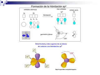 Formación de la hibridación sp2
s px py pz
120o
orbitales atómicos
2s 2p
hibridación
sp2
orbital vacío
2p
geometría planar
tres orbitales
 