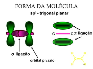 FORMA DA MOLÉCULA
            sp2 - trigonal planar




                         C          C π ligação




σ ligação                           H           H
                                        C   C
            orbital p vazio
                                    H           H
                                                48
 
