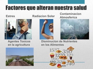 Factores que alteran nuestra salud
                                       Contaminacion
Estres               Radiacion Solar   Atmosferica




 Agentes Toxicos          Disminucion de Nutrientes
 en la agricultura        en los Alimentos
 