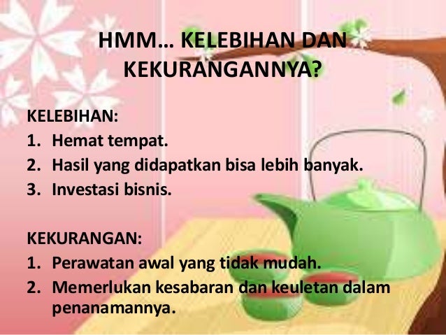 Hibridoma Sel (Monoclonal Antibodies)