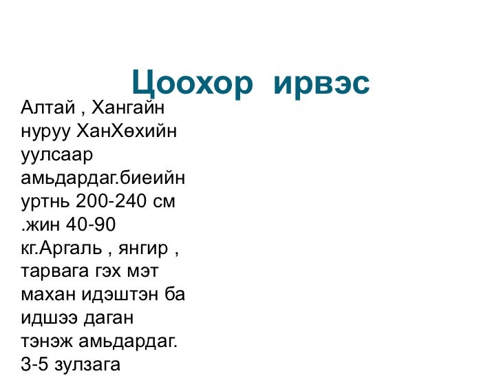 Hicheel1 ойн амьтад