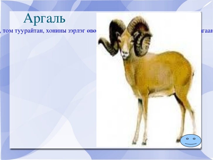 Hicheel1 ойн амьтад