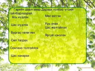 Гэрийн даалгавар:Дараах холбоо үгсийг  тайлбарлаарай. Агь нүдлэх Цас нүдлэх Бургас гөлөглөх Сөл тасрах Сонгино толгойлох Цас ханзрах Мөс зэтгэх Урь унах Цас малгайлах Яргуй хэнзлэх 