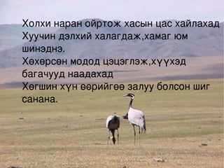 !!!СА Холхи наран ойртож хасын цас хайлахад Хуучин дэлхий халагдаж,хамаг юм шинэднэ. Хөхөрсөн модод цэцэглэж,хүүхэд багачууд наадахад Хөгшин хүн өөрийгөө залуу болсон шиг санана. 