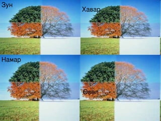 Өвөл  Зун Намар Хавар 