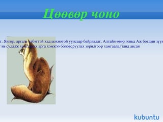 Анх 1969 онд дэлхийн улаан ном, 1987, 1997 онд монголын улаан ном хэвлэгдэн гарсан ба монгол орны ургамал, амьтан түүнийг нөхөн сэргээх чадвараар нь: 3 ангилна . Нэн ховор Ховор Элбэг 